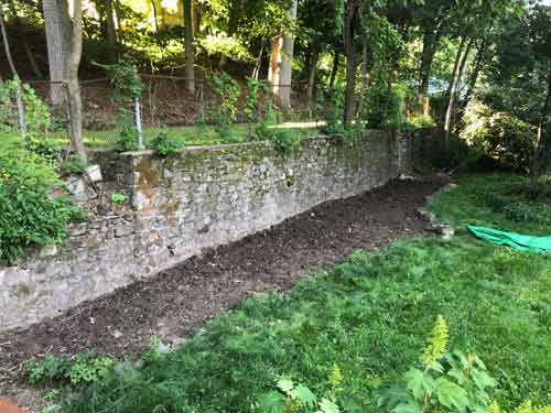 NJ Backyard Garden